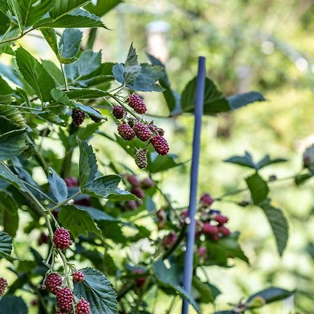 텐겐 La Rose 아파트 외부 사진